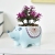 New Hedgehog flower pot