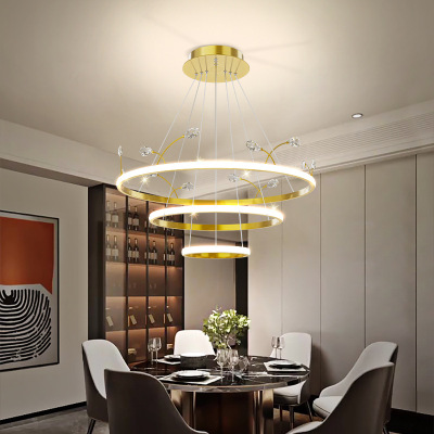 Dining Room Chandelier Modern Minimalist and Magnificent Dining Table Lamp 2022 New Nordic Light Luxury Ring Dining Room Bar Lamp