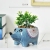 New Hedgehog flower pot