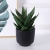 Modern Simple Flower Pot Home Furnishings Succulent Flower Pot Green Plant Flower Pot Factory Wholesale