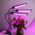 LED Floor Plant Grow Light Green Plant Quilt Wall Growth Lamp Cob Full Spectrum Indoor Succulent Potted Plant Lamp