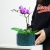 Ceramic Flower Pot European Ins Style Straight Pot Modern Home Desktop Decoration Amazon Green Plant Pot Container