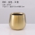 Nordic Style High-Grade Golden Phalaenopsis Flower Pot Hydrocotyle Succulent Flower Pot Home Furnishings Source