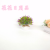 Artificial/Fake Flower Bonsai Plastic Basin Starry Sky Decoration Daily Use Ornaments