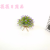 Artificial/Fake Flower Bonsai Plastic Basin Starry Sky Decoration Daily Use Ornaments