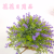 Artificial/Fake Flower Bonsai Plastic Basin Starry Sky Decoration Daily Use Ornaments