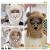 Hat Female Autumn and Winter M Ear Bear Ear Protection Scarf Gloves Integrated Three-Piece Bear Hat Scarf Mask Cap