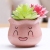 Exclusive for Cross-Border Macaron Flower Pot Cute Expression Succulents Simple and Fresh Artificial Simulation Plant Ceramic Basin