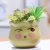 Exclusive for Cross-Border Macaron Flower Pot Cute Expression Succulents Simple and Fresh Artificial Simulation Plant Ceramic Basin