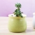 Ceramic Small Flower Pot Macaron Succulent Plant Pot Cross-Border Export Mini Small Sized Fresh Desktop Green Plant Pot