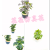 Artificial/Fake Flower Bonsai Ceramic Basin Green Plant Leaves Decoration Ornaments Living Room Bar Counter, Etc.