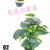 Artificial/Fake Flower Bonsai Ceramic Basin Green Plant Leaves Decoration Ornaments Living Room Bar Counter, Etc.