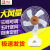 Camel Electric Fan Desk Fan Household Desktop 16-Inch Shaking Head Luxury Mute Wind Student Fan One Piece Dropshipping