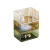 Light Luxury Desktop Cosmetics Storage Box Dressing Table Lipstick Skin Care Products Transparent Basket Acrylic Box Mask