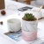 Nordic Creative Ceramic Plant Flower Pot Succulent Flower Pot Desk Decoration Marbling Flower Pot Wholesale