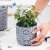 Nordic Creative Cement Succulent Flower Pot Home Decorative Greenery with round Ceramic Flower Pot Simple European Furnishings