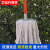 Wooden Handle Wooden Rod Iron round Head Mop Mop Old-Fashioned Line Cotton Mop Sanitation Cleaning School