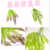 Artificial/Fake Flower Bonsai Greenery Wall Hanging Decorative Ornaments Daily Necessities