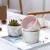 Nordic Creative Ceramic Plant Flower Pot Succulent Flower Pot Desk Decoration Marbling Flower Pot Wholesale