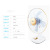 Camel Electric Fan Desk Fan Household Desktop 16-Inch Shaking Head Luxury Mute Wind Student Fan One Piece Dropshipping