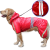 New Pet Four-Legged Raincoat Reflective Dog Raincoat Medium Large Dog Pet Four-Legged Double-Layer Waterproof Pet Raincoat