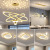 Living Room Chandelier Simple Modern Atmosphere 2022 New Light Luxury Starry Sky Nordic Lamp Combination Whole House Package