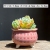 Internet Celebrity Seal Succulent Flower Pot Ceramic Ice Crack Cat's Paw Simple Fresh Candy Color Desktop Control Basin Breathable Cute