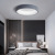 Bedroom Light 2021new Internet Celebrity LED Ceiling Light Modern Minimalist Master Bedroom Book Room Dining Room Balcony Lamps