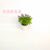 Artificial/Fake Flower Bonsai Plastic Basin Green Plant Leaves Small Flower Furnishings Ornaments