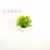 Artificial/Fake Flower Bonsai Plastic Basin Green Plant Leaves Small Flower Furnishings Ornaments