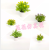 Artificial/Fake Flower Bonsai Plastic Basin Green Plant Leaves Small Flower Furnishings Ornaments