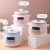 Mini Home Electric Stewpot Ceramic Stew Cup Automatic Baby BB Porridge Soup Stew Pot Smart Small Household Appliances