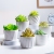 Ceramic Succulent Flower Pot White Modern Home Gardening Pot Amazon Cross-Border Simple Cactus Small Flower Pot Wholesale