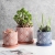 Cement Flower Pot Simple Morandi Nordic Modern Soft Decoration Succulent Plant Flower Ware Artistic Home Crafts Wholesale