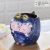 Cute Creative Cartoon Pig Monster Hand-Painted Shape Hand-Painted Breathable Stoneware Personalized Desktop Succulent Pot Wholesale