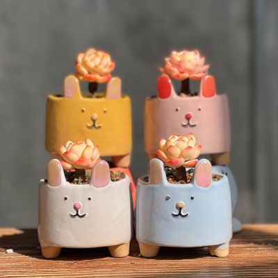 New Succulent Flower Pot Exquisite Hand-Painted Ceramic Plant Meat Special Creative Cute Rabbit Animal Flower Pot with Feet