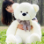 Foreign Trade Popular Style Star Bear Teddy Bear Plaid Bow Tie Bear Leather Phone Case Cheap