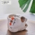 New Ceramic Succulent Flower Pot Pinch Flower Succulent Bonsai Animal Flower Pot Ceramic