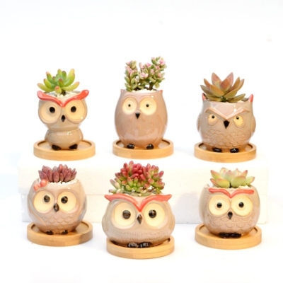 Amazon Sources Succulent Plant Ceramic Owl Pot Small Breathable Ceramic Q Version Cartoon Animal Flower Pot