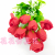 Artificial/Fake Flower Bonsai Vase Single 10 Fork Rose Bud Daily Decoration Ornaments