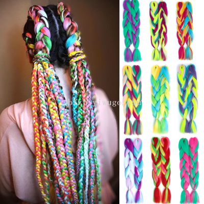 Big Braid Wig Color Multicolor