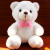 Foreign Trade Explosion Valentine's Day Colorful Light-Emitting Tie Bear Light Holding-Heart Bear Teddy Bear Plush Toy Doll