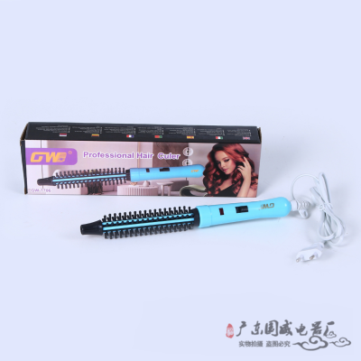 Hair Curler Straight Roll Two-in-One Dual-Use Electric Hair Curler Lazy Large Roll Inner Curl Portable Straight Plate Electric Hair Straightener Factory Direct Sales