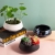 Simple Ceramic Flower Pot Hydroponic Morandi Ins European Personality Creative Cross-Border Amazon Green Plant Green Radish Ornaments