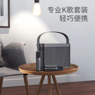 YS-219 Factory Portable Speaker Mobile Phone Bluetooth Microphone Wireless Family KTV Speaker Karaoke Set