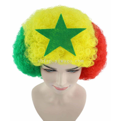 Fan Wig, Carnival Wig, Color Wig, Festival Wig