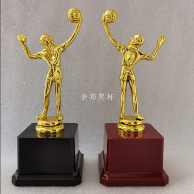 Plastic Portrait Trophy Volleyball Sports Trophy