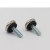 round Iron Screw Various Models, Specifications and Sizes Can Be Customized