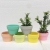 Macaron Colorful Succulent Red Pottery Flowerpot Red Pottery Flowerpot Succulent Flowerpot Plant Flowerpot