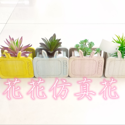 Artificial/Fake Flower Bonsai Cartoon TV Variety of Succulent Furnishings Ornaments